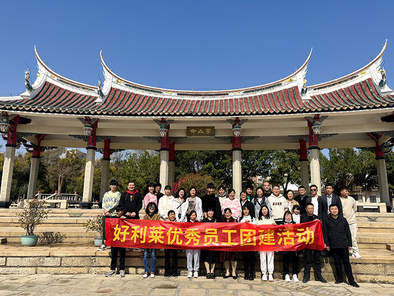 Changzhou Haolilai Electricity Scientific and Technical Co. ، Ltd.